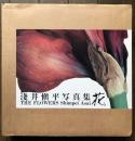 浅井慎平 の在庫検索結果 日本の古本屋 浅井慎平 の在庫検索結果 日本の古本屋