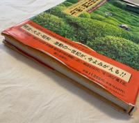 目で見る南山城の100年／宇治市・城陽市・八幡市・久世郡・相楽郡・綴喜郡