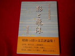 影と飛沫 : 愛敬浩一文芸・映画評論集