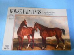 Postcard Books: Horse Paintings