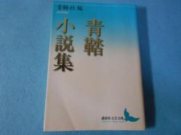 青鞜小説集