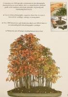 【英語洋書】盆栽完全ガイド：その芸術性と育て方の実践手引き 『The complete book of Bonsai: a practical guide to its art and cultivation』