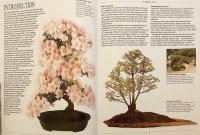 【英語洋書】盆栽完全ガイド：その芸術性と育て方の実践手引き 『The complete book of Bonsai: a practical guide to its art and cultivation』