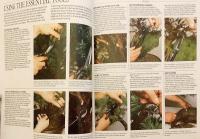 【英語洋書】盆栽完全ガイド：その芸術性と育て方の実践手引き 『The complete book of Bonsai: a practical guide to its art and cultivation』