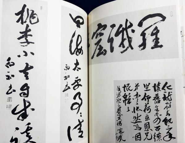 定胤長老遺墨(佐伯定胤 著 ; 法隆寺 編) / 古本、中古本、古書籍の通販