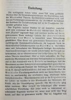 ドイツ語洋書 資本主義システムの蓄積と崩壊の法則『Das Akkumulations- und Zusammenbruchsgesetz des kapitalistischen Systems』