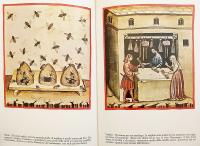 【イタリア語洋書 / 第2巻 (全2分冊揃い)】 ローマ帝国崩壊後のイタリア史：18世紀まで (イタリア史, 第2巻) 『Dalla caduta dell'Impero romano al secolo XVIII (Storia d'Italia, v. 2)』