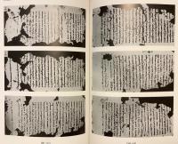 【英語洋書 / 全2冊揃い】 イラン学論集 『Iranica diversa』