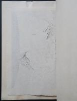 河野薫 木版画『きつつき(B)』　直筆サイン入　