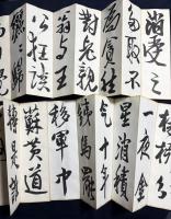 小坂奇石 肉筆臨書帖 2帖『臨王鐸行書冊』