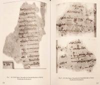 【英語・イタリア語洋書】 中期イラン語辞書学：2001年4月9日〜11日 ローマ会議録 『Middle Iranian lexicography : proceedings of the Conference held in Rome, 9-11 April 2001』