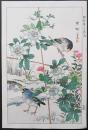 幸野楳嶺 復刻木版画『時計草に桑鳥』