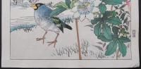 幸野楳嶺 復刻木版画『時計草に桑鳥』