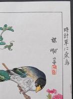 幸野楳嶺 復刻木版画『時計草に桑鳥』