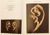 【英語・カザフスタン語・ロシア語洋書】 カザフスタンの古代黄金 『Қазақстанның көне алтыны = Древнее золото Казаxстана = The ancient gold of Kazakhstan』 ●表紙中央にカラー貼り込み図版