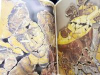 ロシア語洋書 14-15世紀 ノヴゴロドの記念碑絵画【Монументальная живопись Новгорода XIV–XV веков】