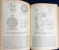 ロシア語洋書 古代および中世初期の東トルキスタン【Восточный Туркестан в древности и раннем средневековье : очерки истории】