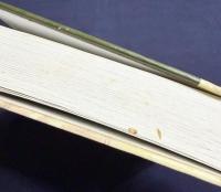 【ロシア語洋書】 印欧祖語再建の諸相：アクセント論・形態論・統語論『Аспекты индоевропейской реконструкции : акцентология, морфология, синтаксис』