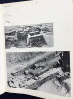 【ロシア語洋書】アジナ・テパ遺跡：建築・絵画・彫刻『Аджина-Тепа : архитектура,  живопись, скульптура』