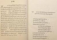 【チベット語洋書 / 全2冊揃い】 ダルマキールティ (法称) 著『プラマーナ・ヴァールティカ (知識論評釈・量評釈)』に対するダルマリンチェンの注『Ṟnam-a̱gṟel-thaṟ-lam̱-g̱saḻ-byeḏ』