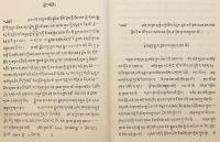 【チベット語洋書 / 全2冊揃い】 ダルマキールティ (法称) 著『プラマーナ・ヴァールティカ (知識論評釈・量評釈)』に対するダルマリンチェンの注『Ṟnam-a̱gṟel-thaṟ-lam̱-g̱saḻ-byeḏ』