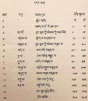 【蔵文書】 ドゥクパ・カギュ派第4代法主ペマ・カルポ注『入菩薩行論』註解 第5巻 『Dbu-mai lam-gyi sgron-ma : commentary on Santideva’s Bodhisattva charyavatara』