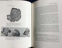 【英語洋書】ソグドの絵画：東洋美術における図像叙事詩『Sogdian Painting: The Pictorial Epic in Oriental Art』