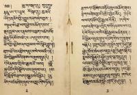 【蔵文書】 チベット仏教中興の祖アティーシャ伝：インド仏教布教と黄金島スヴァルナドヴィーパへの求法の旅 『The biography of Atisha : how he preached the law of the Buddha in India, and his journey to Suvarnadvipa, etc』