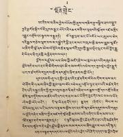 【蔵文書】 弥勒五部論再考：第14代ダライ・ラマの師トリジャン・リンポチェ追悼論集 『Byams chos bskyar źib draṅ ṅes mdzes rgyan : Skyabs rje Yoṅs 'dzin Khri byaṅ Rin po che'i bka' drin dran gso = A synthetic study of the treatises of Maitreyanātha written in memory of the late Yoṅs-'dzin Khri-byaṅ Rin-po-che』