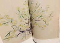 福田平八郎 作品と素描 全2冊