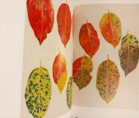 福田平八郎 作品と素描 全2冊