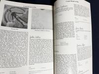 英語洋書 ドイツ・プログレ/電子音楽ガイド(クラウトロック辞典)『Cosmic Dreams at Play : a Guide to German Progressive and Electronic Rock』