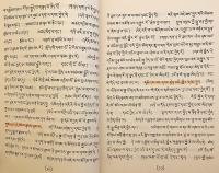 【蔵文書 / 全2巻揃い】 ヴァスバンドゥ (世親) 著『阿毘達磨倶舎論』自註 『Chos-mnon-pa-mzod-kyi bsad-pa (gnas-lna-pa-man-chad-gyi-ran-grel) Abhidarma-kosa (part)』