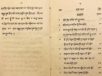 【蔵文書 / 2,000部限】 ダライ・ラマ14世による善説集：若者の知を啓く書 『ལེགས་བཤད་བློ་གསལ་གཞོན་ནུའི་མིག་འབྱེད་ཅེས་བྱ་བ་བཞུགས་སོ།།』