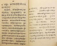 【蔵文書 / 2,000部限】 ダライ・ラマ14世による善説集：若者の知を啓く書 『ལེགས་བཤད་བློ་གསལ་གཞོན་ནུའི་མིག་འབྱེད་ཅེས་བྱ་བ་བཞུགས་སོ།།』