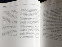 内燃動車発達史 上下全2巻揃 (戦前私鉄編・戦前メーカー編)