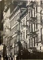 【英語洋書】エヴリン・ホーファー写真集 『New York proclaimed』