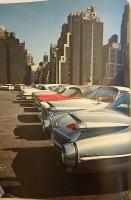 【英語洋書】エヴリン・ホーファー写真集 『New York proclaimed』