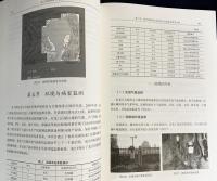 【中文書】龍門石窟保護工程実録