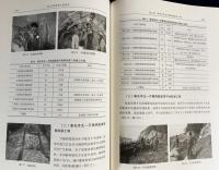 【中文書】龍門石窟保護工程実録
