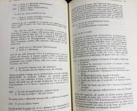 【イタリア語洋書】イタリア語大参照文法書 全3巻揃『Grande Grammatica Italiana Di Consultazione』