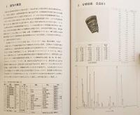 平吉遺跡出土鋳造関連遺物の調査・奈良市出土鏡の調査