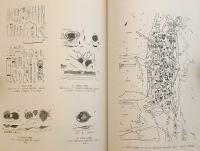 飛鳥の冶金関連遺跡