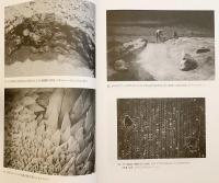 古代ローマのヴィラ・ガーデン