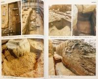 薬師寺東塔基壇 : 国宝薬師寺東塔保存修理事業にともなう発掘調査概報