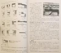 薬師寺東塔基壇 : 国宝薬師寺東塔保存修理事業にともなう発掘調査概報