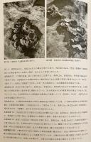 【全2冊揃い】 薬師寺 : 旧境内保存整備計画にともなう発掘調査概報