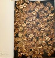 【英語洋書】 バクトリアの黄金財宝：北アフガニスタンのティリヤ・テペ遺跡発掘成果 『The golden hoard of Bactria : from the Tillya-tepe excavations in northern Afghanistan』