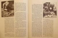 【英語洋書】 バクトリアの黄金財宝：北アフガニスタンのティリヤ・テペ遺跡発掘成果 『The golden hoard of Bactria : from the Tillya-tepe excavations in northern Afghanistan』