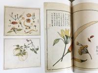 原色 日本の意匠 全16巻揃